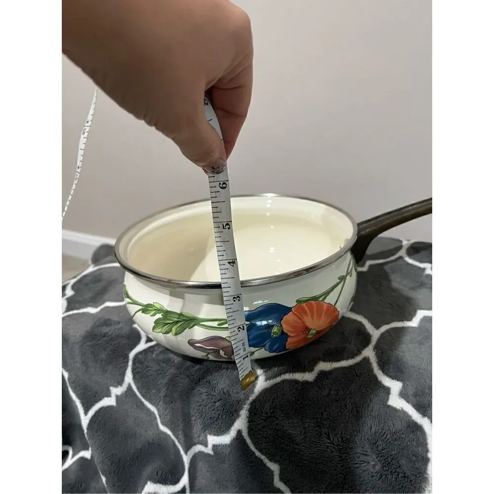 Villeroy & Boch Amapola Enamel Over Metal 2 PC Sauce Pan Pot diameter 7